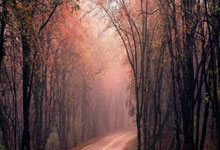 U17国足为何能和韩国队对飙？这场较量藏着中国足球的哪些信号？