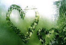 澳大利亚对阵约旦的比分最终是多少？